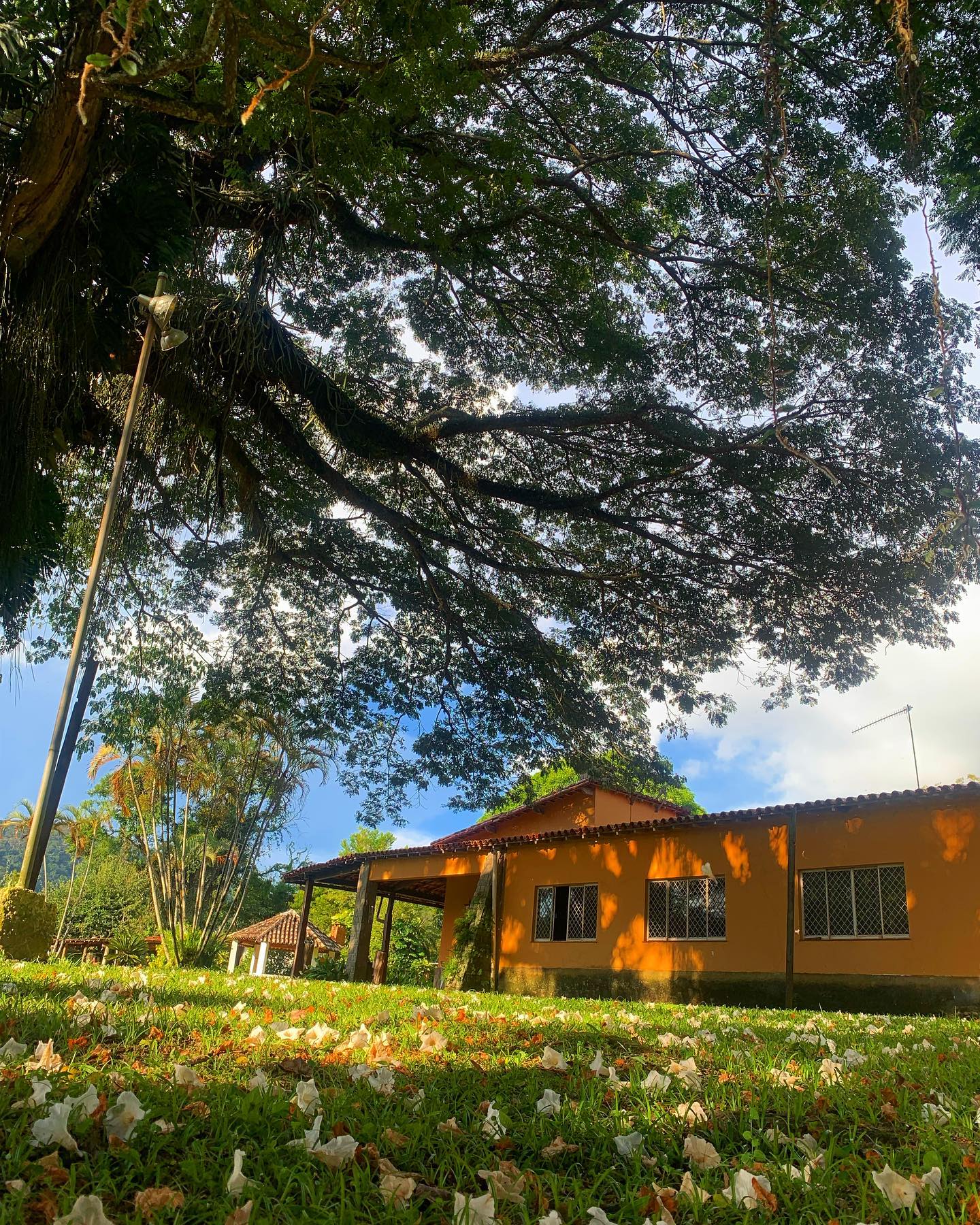 Aluguel para eventos